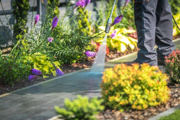 Best Roof Washing  in Riverside, IL