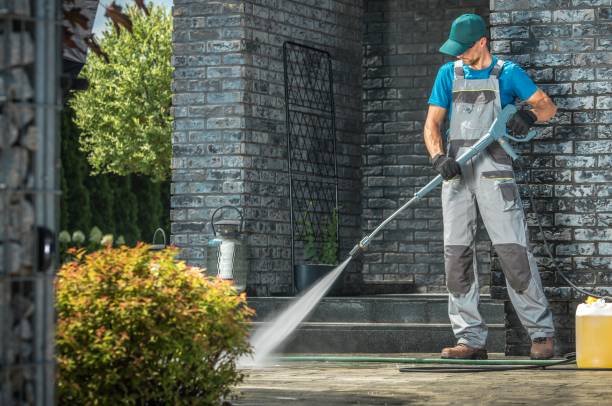Best Fence Cleaning  in Riverside, IL